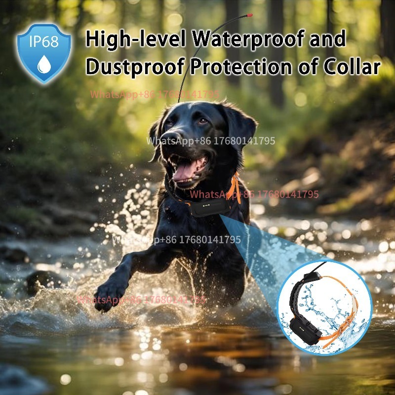 Collier de suivi pour chien de - Outdoor Power Hours avis et prix